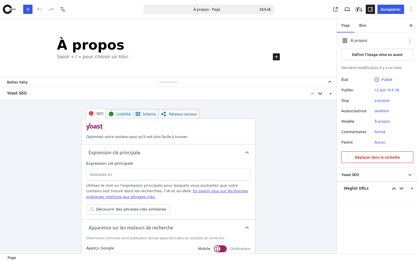 Encart Yoast SEO sur une page